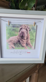Personalised Pet Portrait