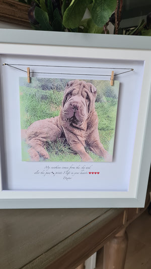 Personalised Pet Portrait
