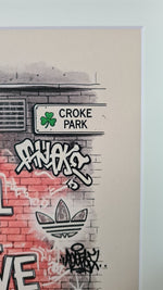 Oasis Graffiti art framed print (Irish connection)