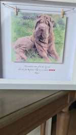 Personalised Pet Portrait