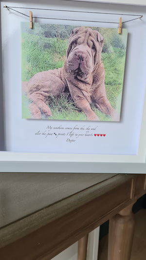 Personalised Pet Portrait
