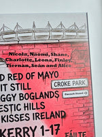 Mayo x Saw Doctors. All-Ireland Champions 2026. (Bigger 52cm x 52cm Frame)