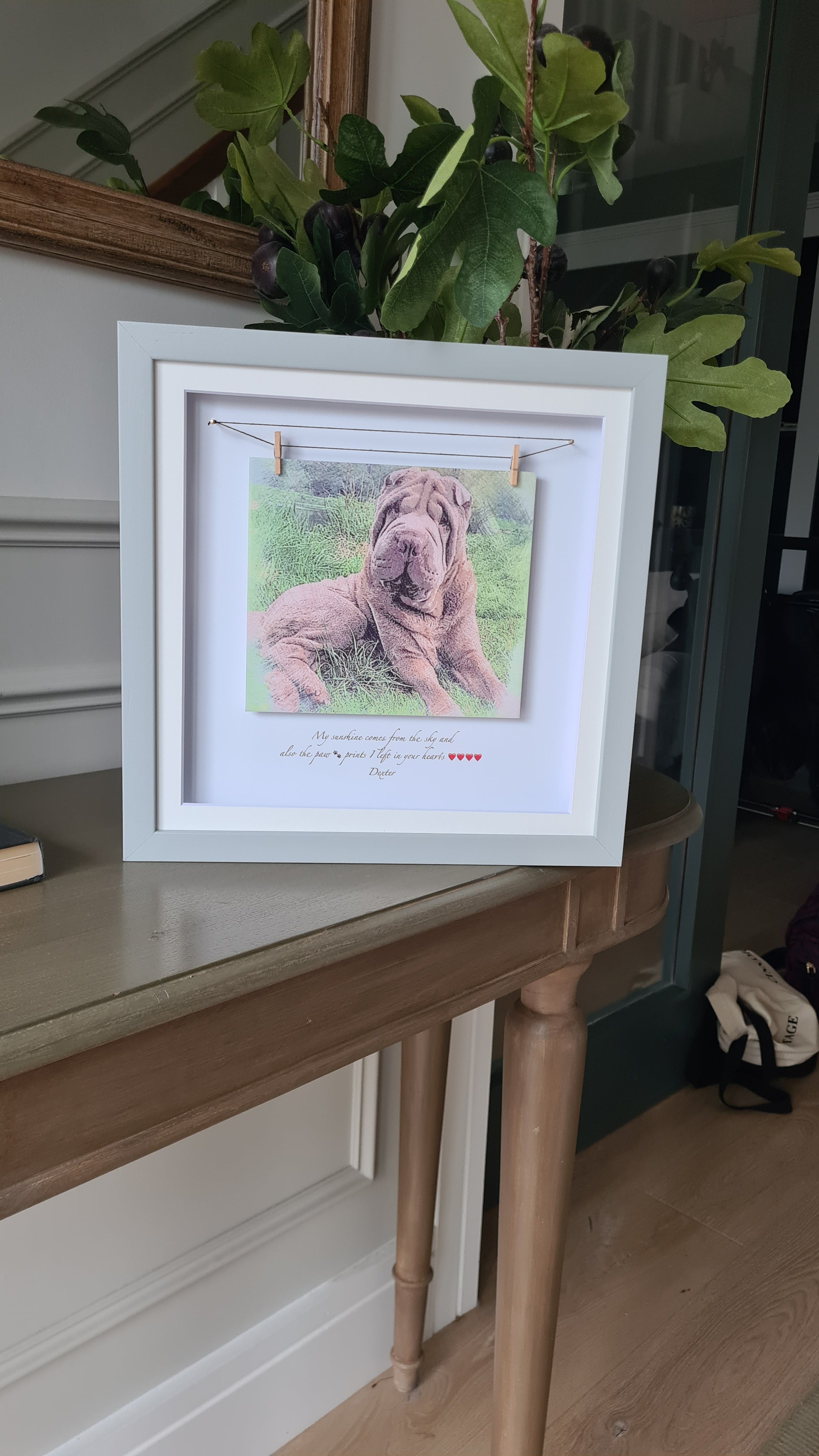 Personalised Pet Portrait