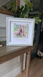 Personalised Pet Portrait